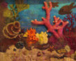 3-D coral reef picture